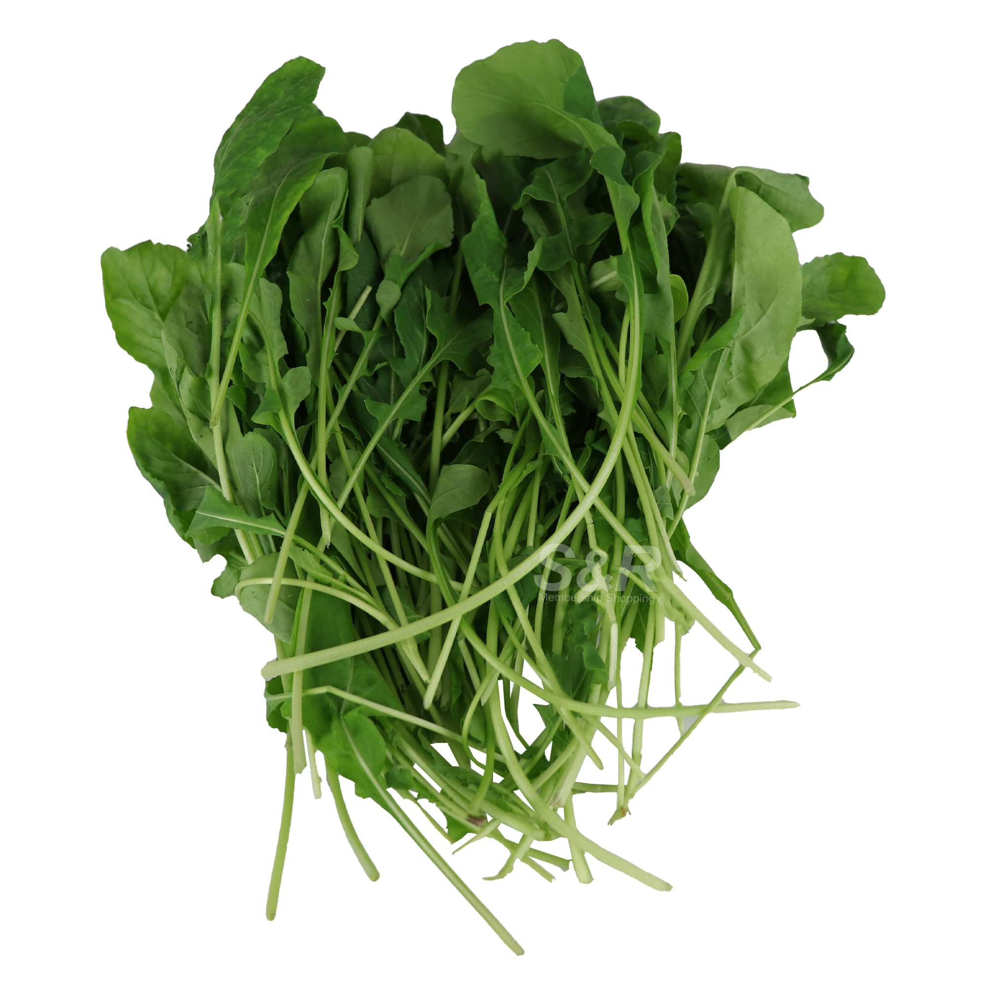 Future Fresh Roquette Arugula 50g Future Fresh Roquette Arugula 50g
